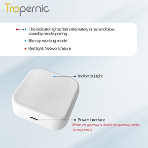 [24h Ship Out] TTLOCK App G2 WiFi Gateway Hub Smart Door Lock Bluetooth to WiFi Converter Smart Home Bridge Voice Control for Alexa